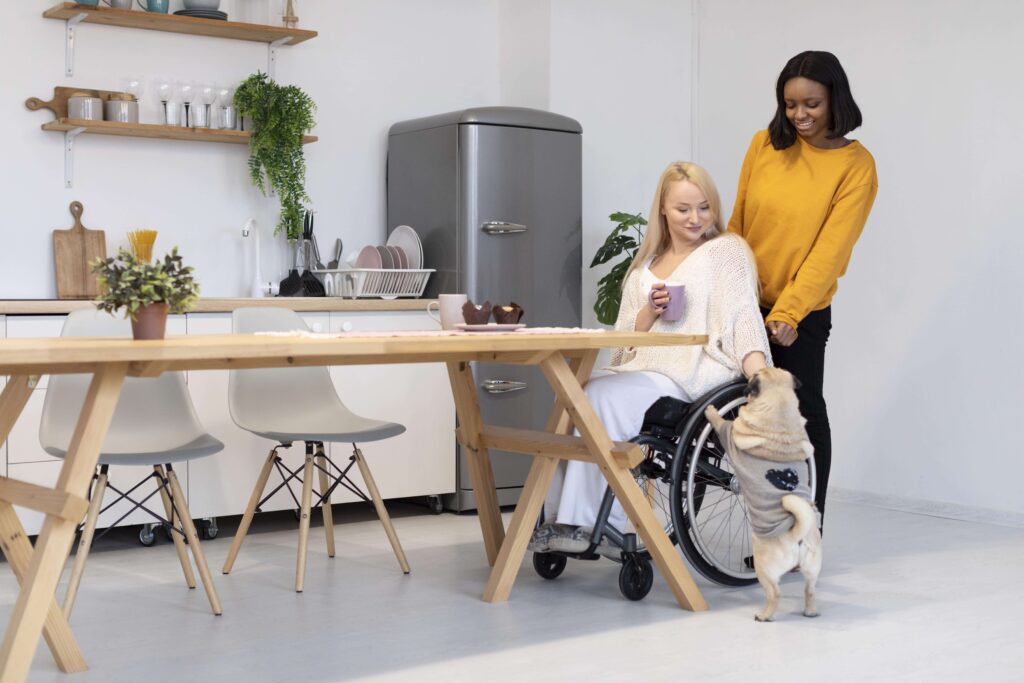 Assistive Prod-Household Task